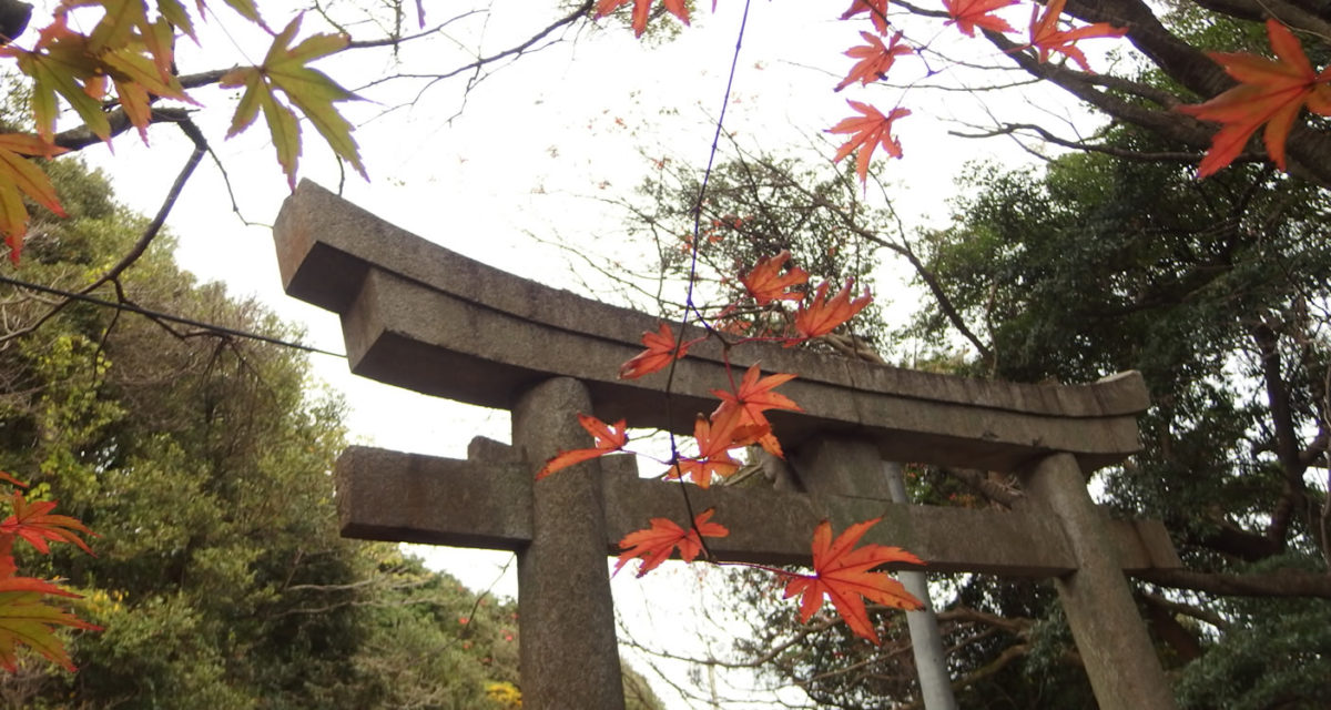 関門、秋のご褒美！ / The Japanese way to appreciate Autumn!