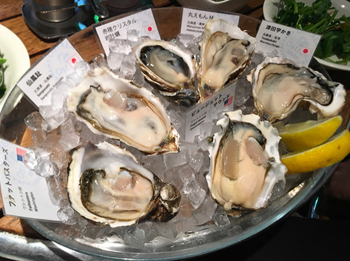 oyster31
