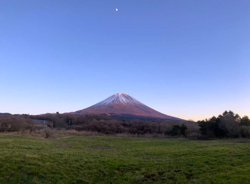 benifuji2024winter02