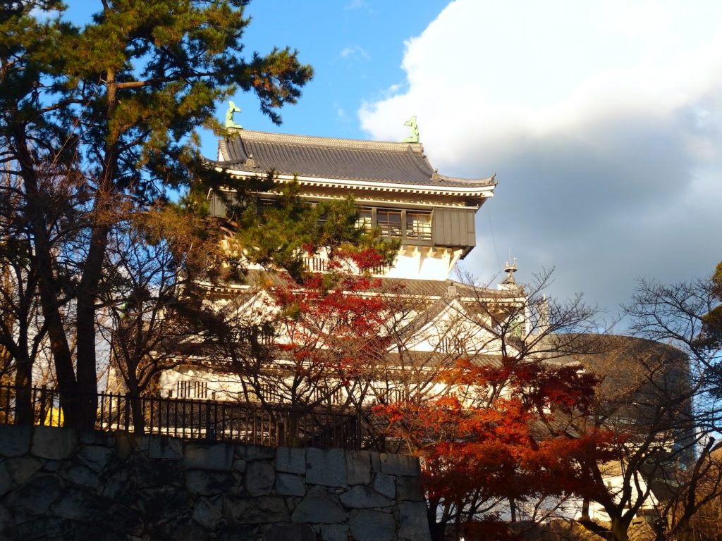 OLYMPUS DIGITAL CAMER